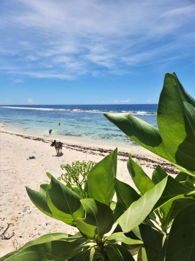 Green Villa Moorea Temae Экстерьер фото